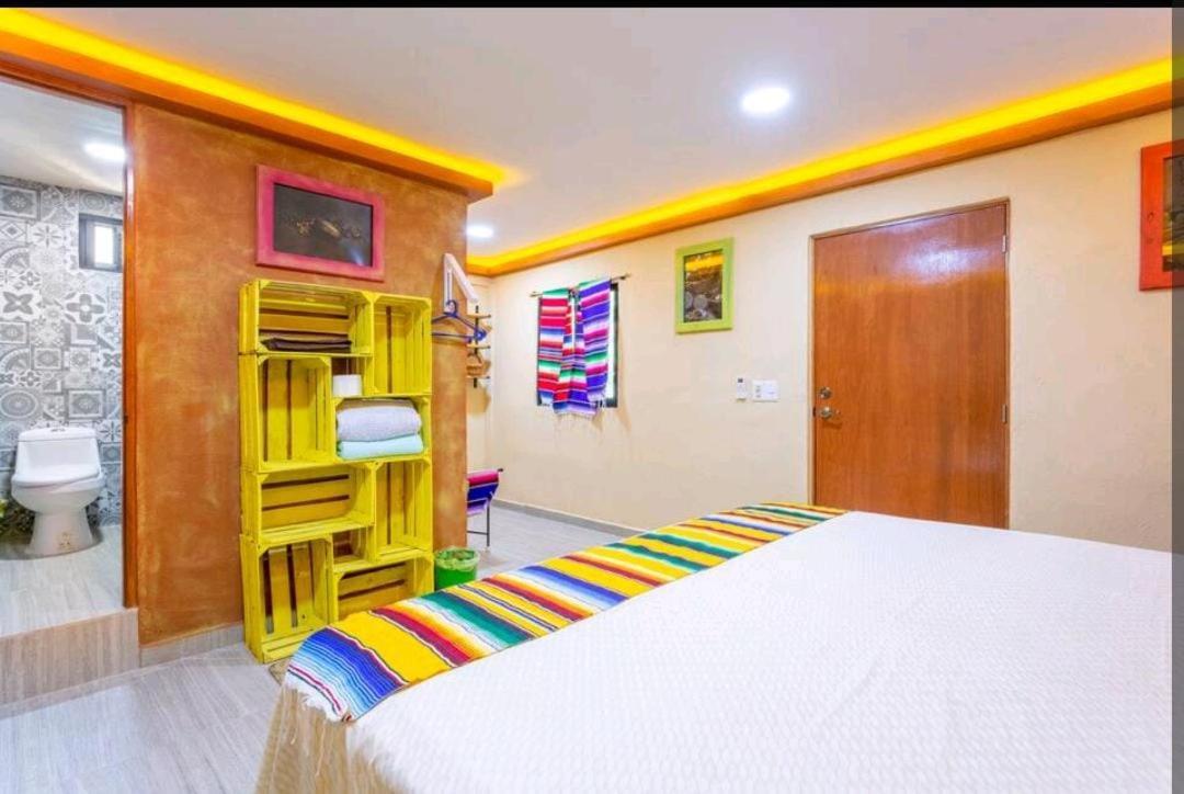 Numa Hotel Boutique Playa del Carmen Exterior photo
